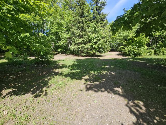 Sunny wooded trail on the property