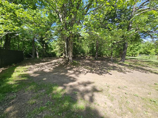 Shady wooded trail on the property
