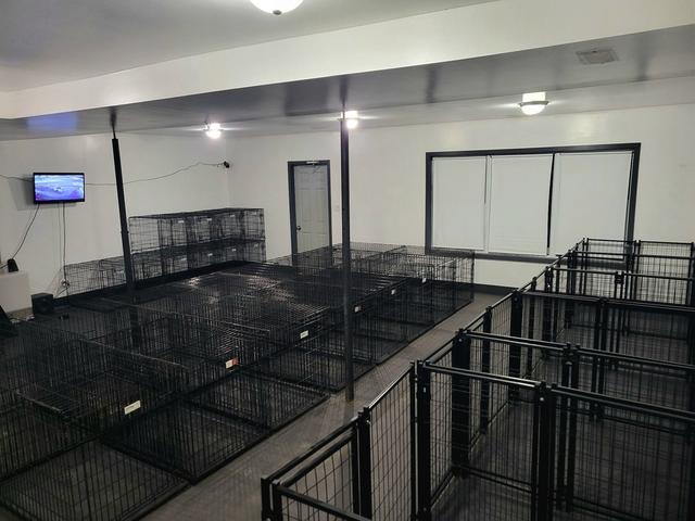 The bright kennel room at the Center