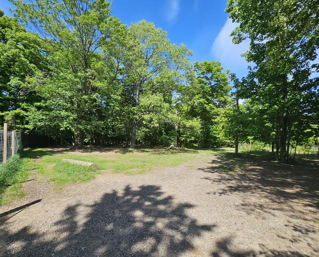 Shaded path through the trees