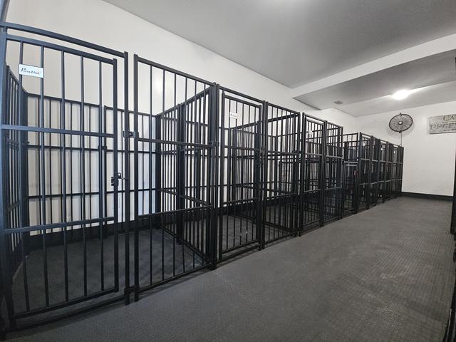 Kennels at the Center