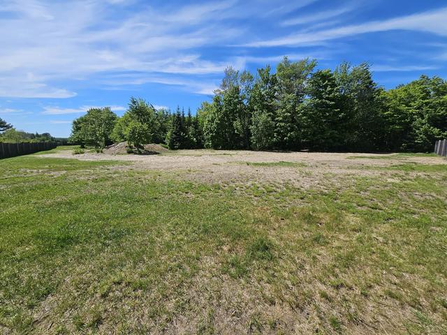 Grassy field under a blue sky
