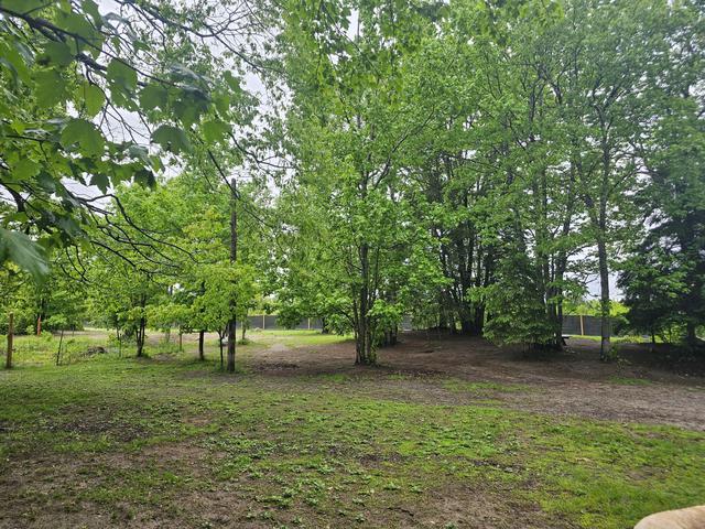Grassy field lined with trees